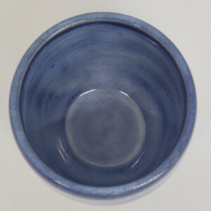 Spikkelmok zonder oor blauw