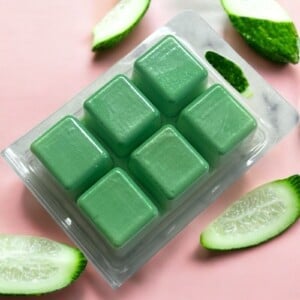 WaxMelts Meloen & Komkommer