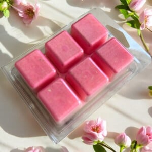 Waxmelts Brazillian Sol Pink nr 68