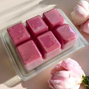 Waxmelts Peony Blush