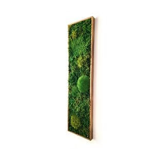 1-daagse cursus mosschilderij maken (voor 2 personen)