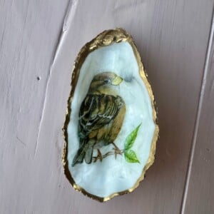 DIY schelpen knutselpakket voor thuis