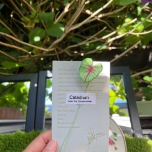 Gehaakte Caladium Bladeren – Boekenlegger & Magneet