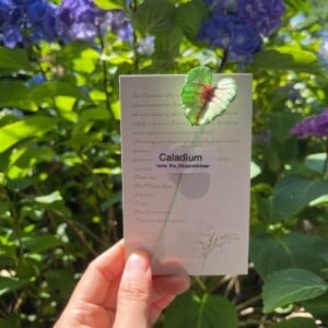 Gehaakte Caladium Bladeren – Boekenlegger & Magneet