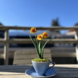 Gehaakte Narcisbloemen in Theekopjes