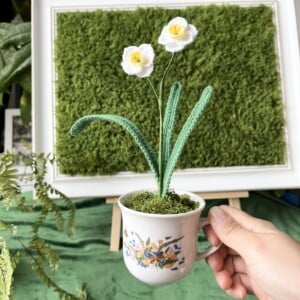 Gehaakte Witte Narcissen in Theekopje
