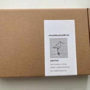 Grutto wanddecoratie – houten weidevogel voor aan de muur |  nationale vogel.