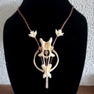 Ketting bergkristal 'lijnen van intentie'.