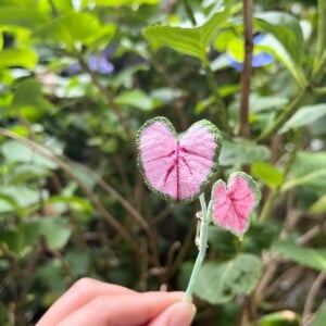 Micro Gehaakte Caladium Broche – Handbeschilderde Blaadjes