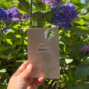 Micro Gehaakte Monstera Blad – Boekenlegger & Magneet