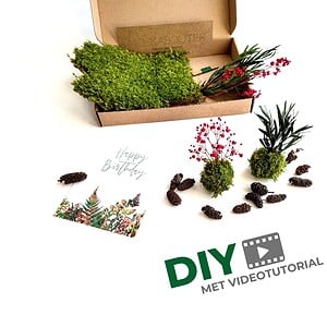 Mini Kokedama Do It Yourself KIT