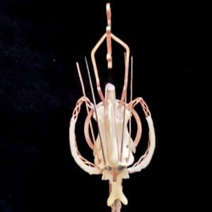 Necklace 'queen of lightness'