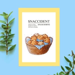 Kaart Snaccident