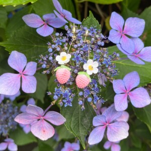 Micro Gehaakte Aardbei Oorbellen met Bloemetjes
