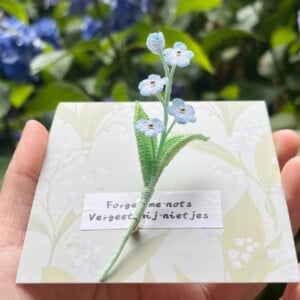 Micro Gehaakte Vergeet-mij-niet Broche