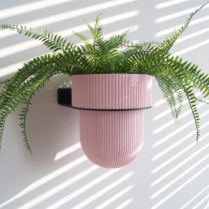 STERKSTAEL Flora S Eco Pot Pink Blossom - bloempothouder - kleur houder zwart - kleur pot zacht roze - inclusief bloempot ø12cm - poedercoating - staal
