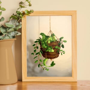 Succulent plant dragon, art print, 21x14,8 cm (8,2x5,8 inch)
