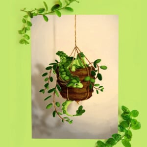 Succulent plant dragon, art print, 21x14,8 cm (8,2x5,8 inch)