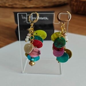 Diverse Zomerse oorhangers
