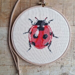 Handgeborduurd lieveheersbeestje, wat staat voor geluk. Leuk als kado, of voor aan jouw eigen muur