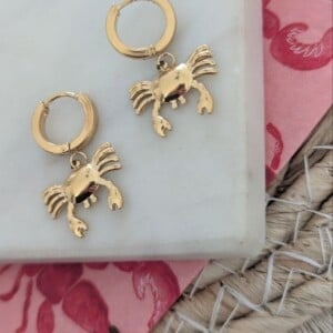 Crabby Chic Drops – Gouden Stainless Steel Oorbellen
