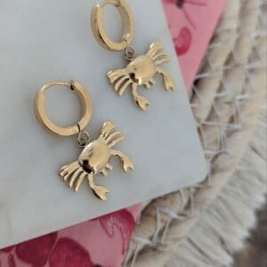 Crabby Chic Drops – Gouden Stainless Steel Oorbellen
