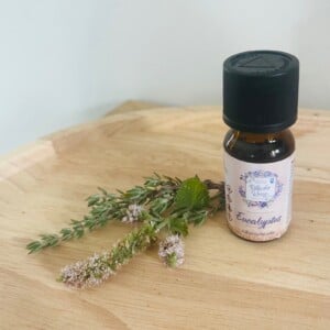 Etherische olie eucalyptus 10 ml