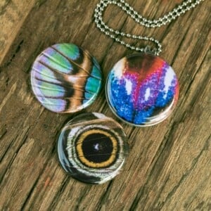 Fotomedaillon ketting met 3 verschillende verwisselbare voorkanten met close up foto`s van vlinder vleugels, in prachtige tinten. Voor het dicht bij je dragen van je favoriete foto.