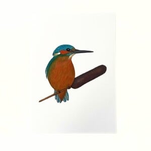 Kunstprint 'IJsvogel'