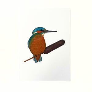 Kunstprint 'IJsvogel'