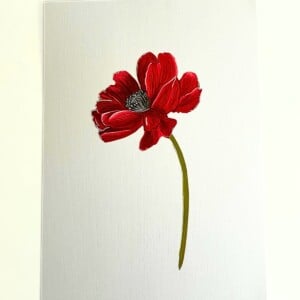 Kunstprint 'Klaproos'
