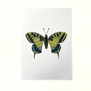 Kunstprint 'Koninginnepage'