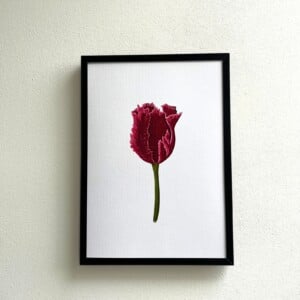 Kunstprint 'Rode tulp'