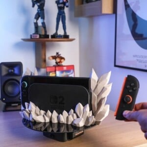 Nintendo Switch 2 Kristal Dock