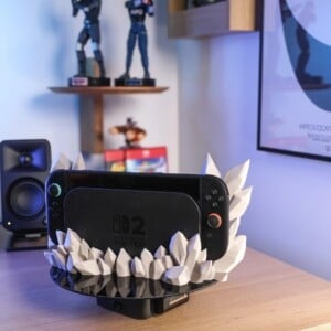 Nintendo Switch 2 Kristal Dock