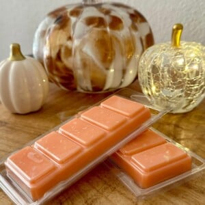 Pumpkin Spice Handmade Soy Wax Melt
