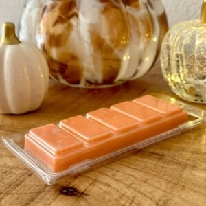 Pumpkin Spice Handmade Soy Wax Melt