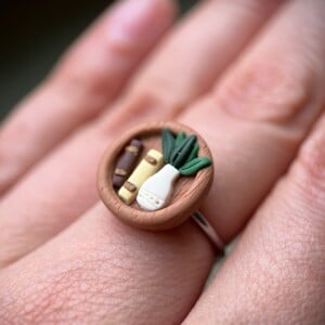 Ring met mini boekenkastje en plant (verstelbaar)