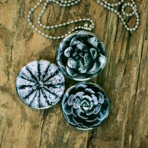 Roestvrij stalen fotomedaillon ketting met drie verschillende verwisselbare voorkanten met close up foto's van bloemen en planten in zwart wit.Rvs/roesvrij stalen fotomedaillon. Voor het dicht bij je dragen van je favoriete foto.