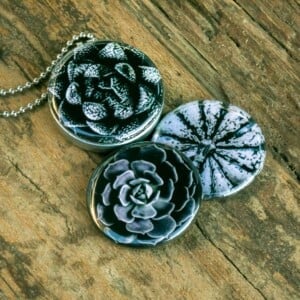 Roestvrij stalen fotomedaillon ketting met drie verschillende verwisselbare voorkanten met close up foto's van bloemen en planten in zwart wit.Rvs/roesvrij stalen fotomedaillon. Voor het dicht bij je dragen van je favoriete foto.
