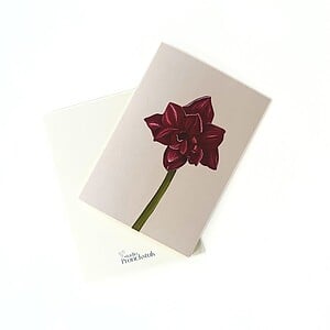 Wenskaart 'Amaryllis'