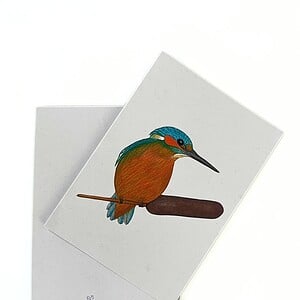 Wenskaart 'IJsvogel'