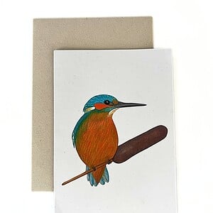 Wenskaart 'IJsvogel'