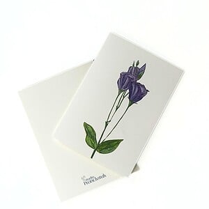 Wenskaart 'Lisianthus'