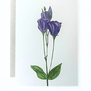 Wenskaart 'Lisianthus'