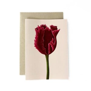 Wenskaart 'Rode tulp'