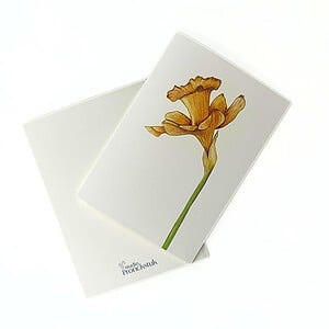 Wenskaart geboortebloem maart 'Narcis'