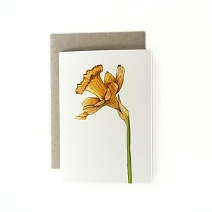 Wenskaart geboortebloem maart 'Narcis'