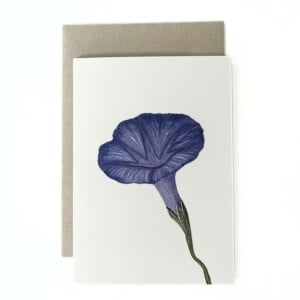 Wenskaart geboortebloem september 'Dagwinde'