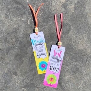 Boekenleggers Meester Bedankt! (Nederlandse versie)